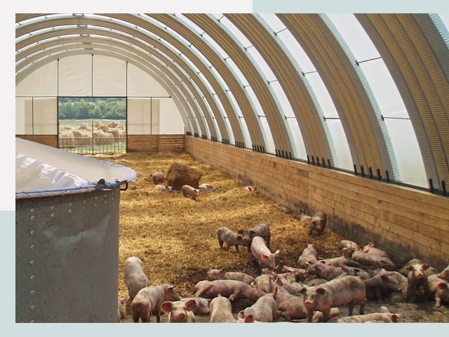 Строительство свинарников в Тулуне