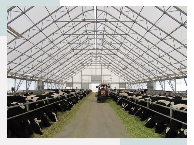 Тентовые коровники в Тулуне от 647 руб. - Надежно и доступно